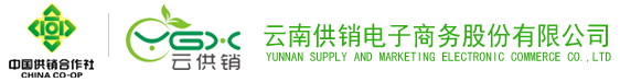 球速體育電子商務(wù)股份有限公司