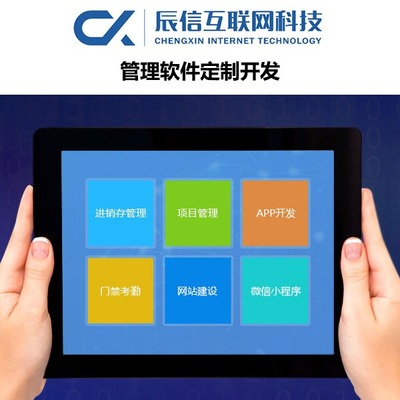 辰信互聯(lián)網(wǎng)科技 專業(yè)企業(yè)軟件開發(fā)，驅(qū)動數(shù)字化未來