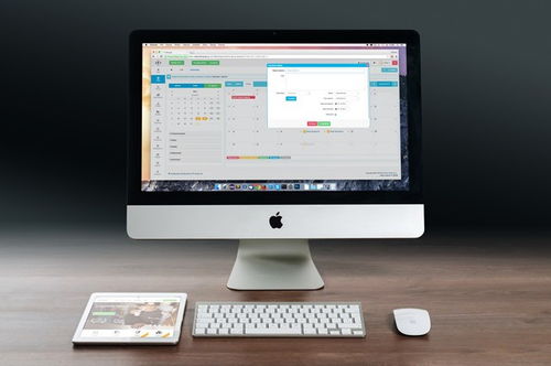 從概念到實施 深入解析App開發(fā)、定制開發(fā)與企業(yè)軟件構(gòu)建